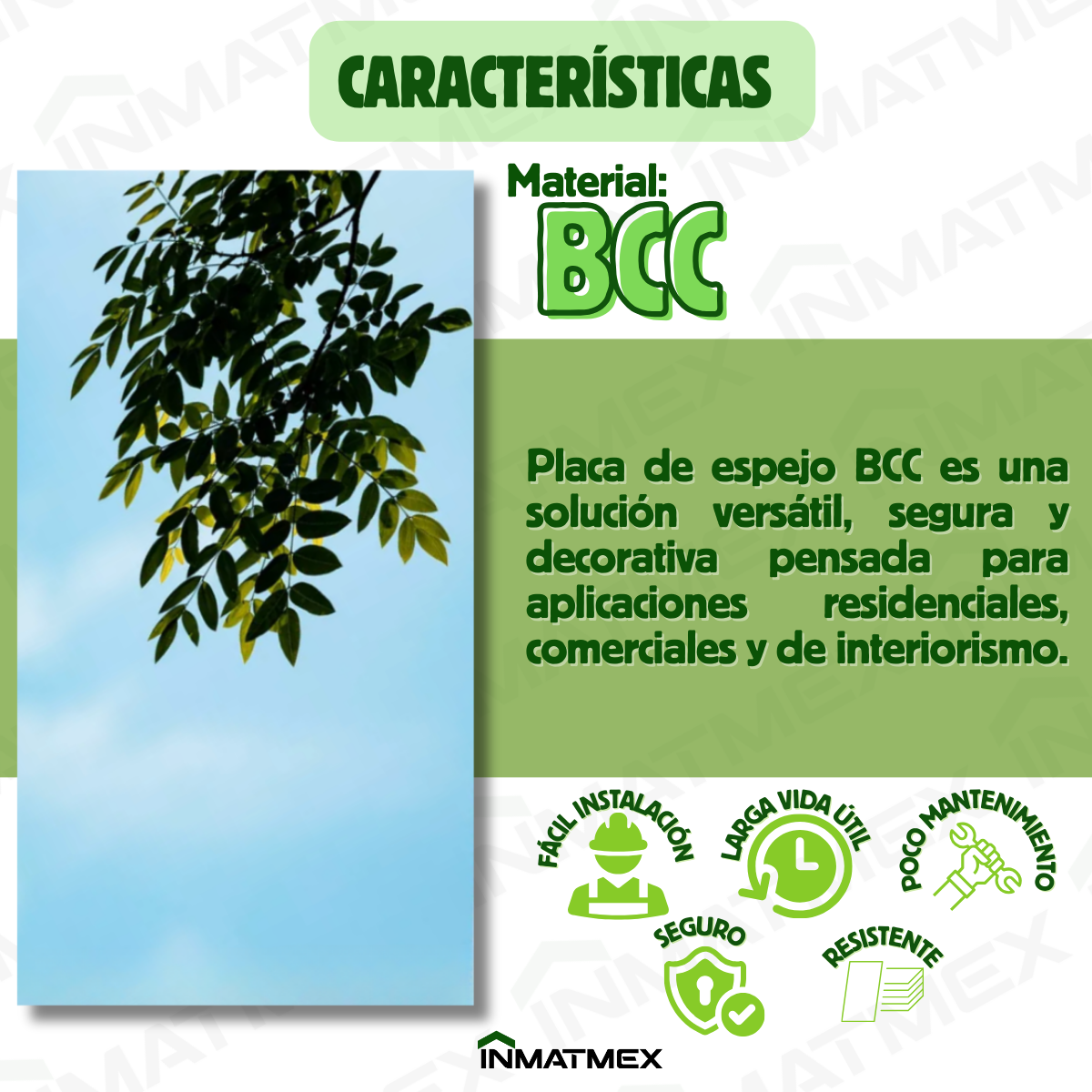 Placa de espejo BCC Color Plata