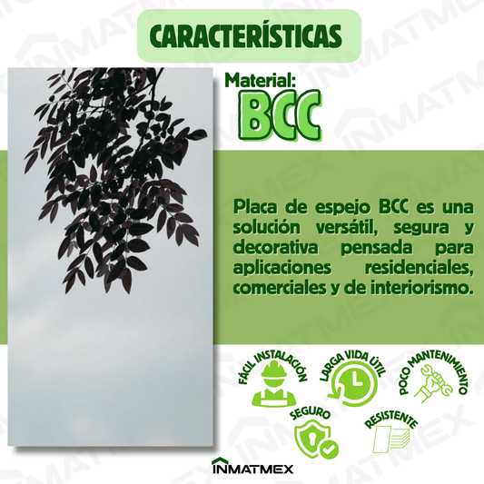 Placa de espejo BCC Color Acero