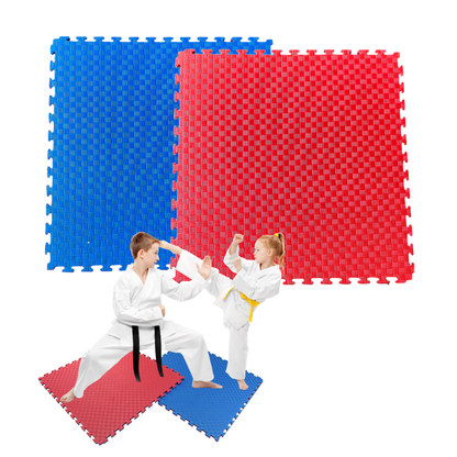 10 PIEZAS TATAMI BICOLOR